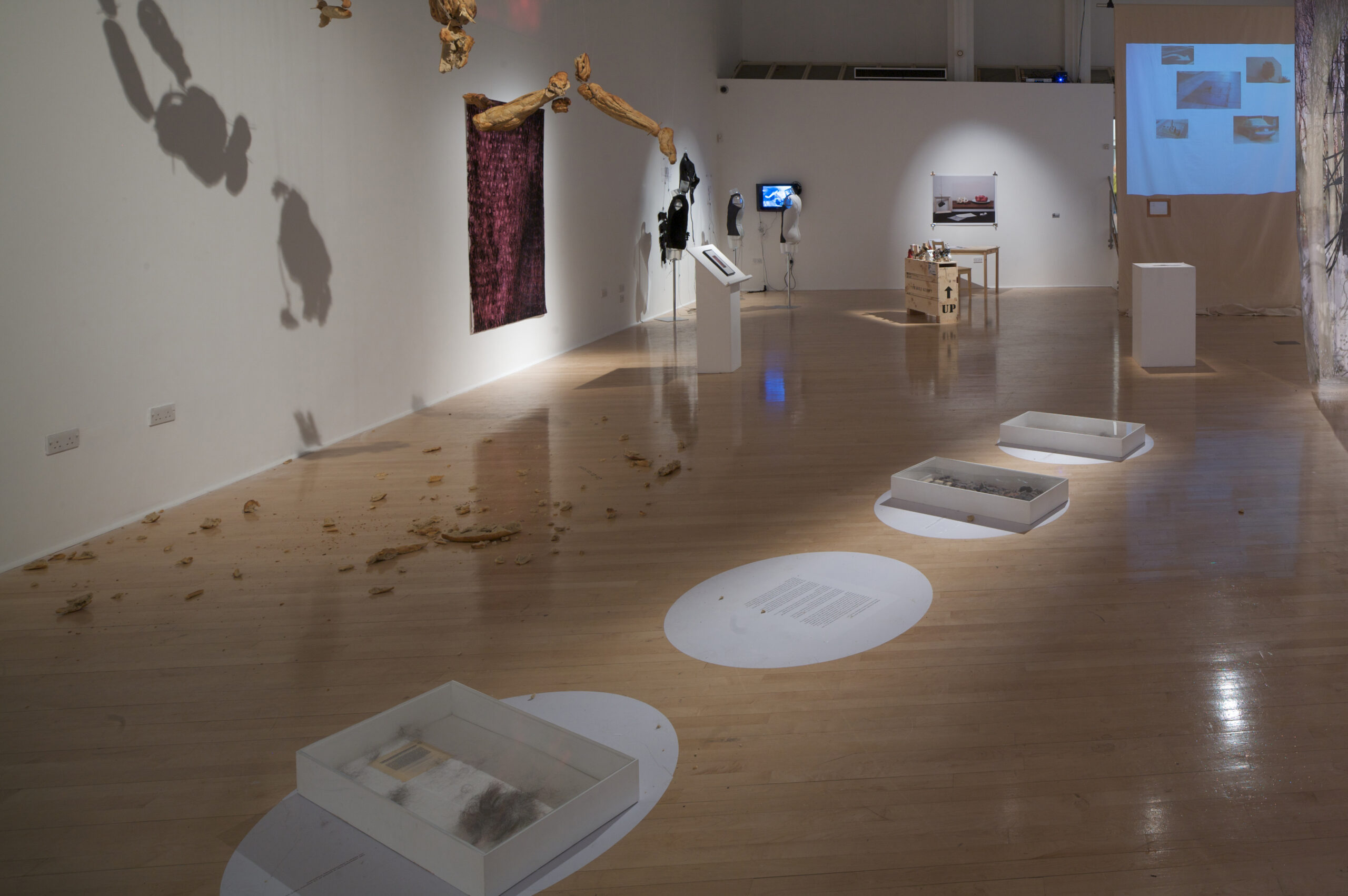 Installation view of the gallery for the exhibition Wanderlust