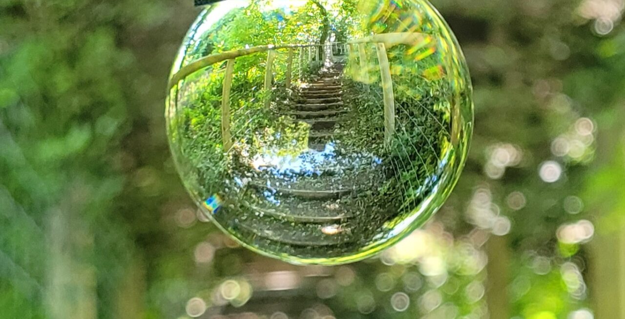 A clear glass sphere is positioned in the center of the image, capturing and inverting the reflection of a lush green forest path. The background is blurred with bokeh effects, highlighting circular light spots among the greenery.