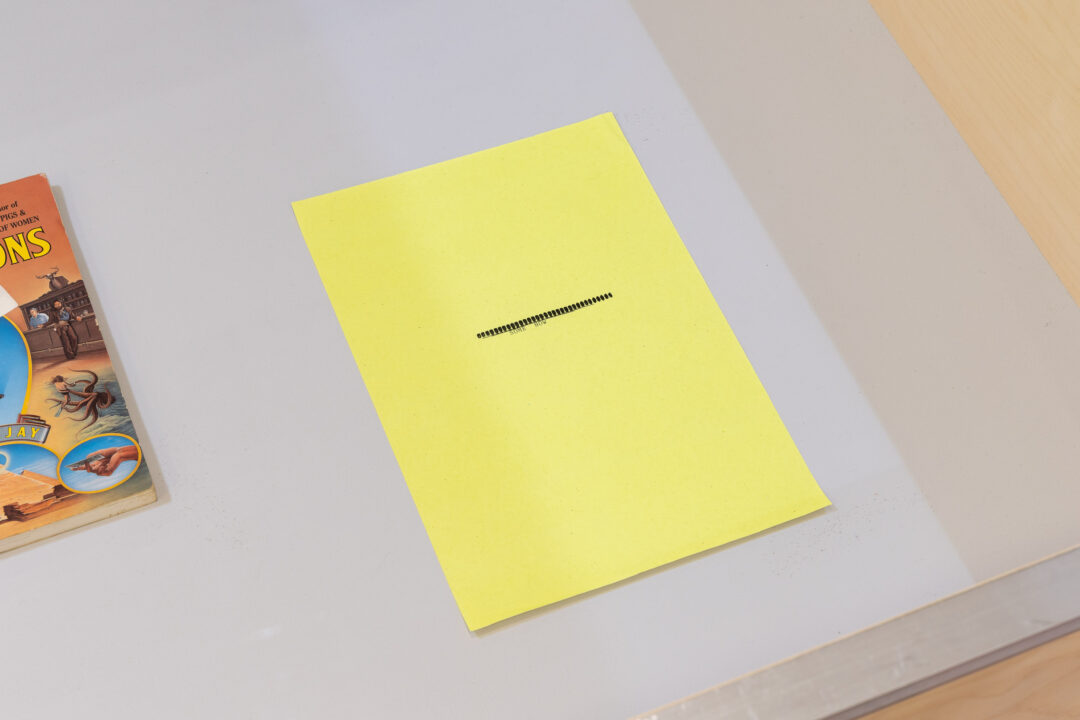 Sue Tompkins, Untitled, 2024, Typewritten text on coloured A4 paper