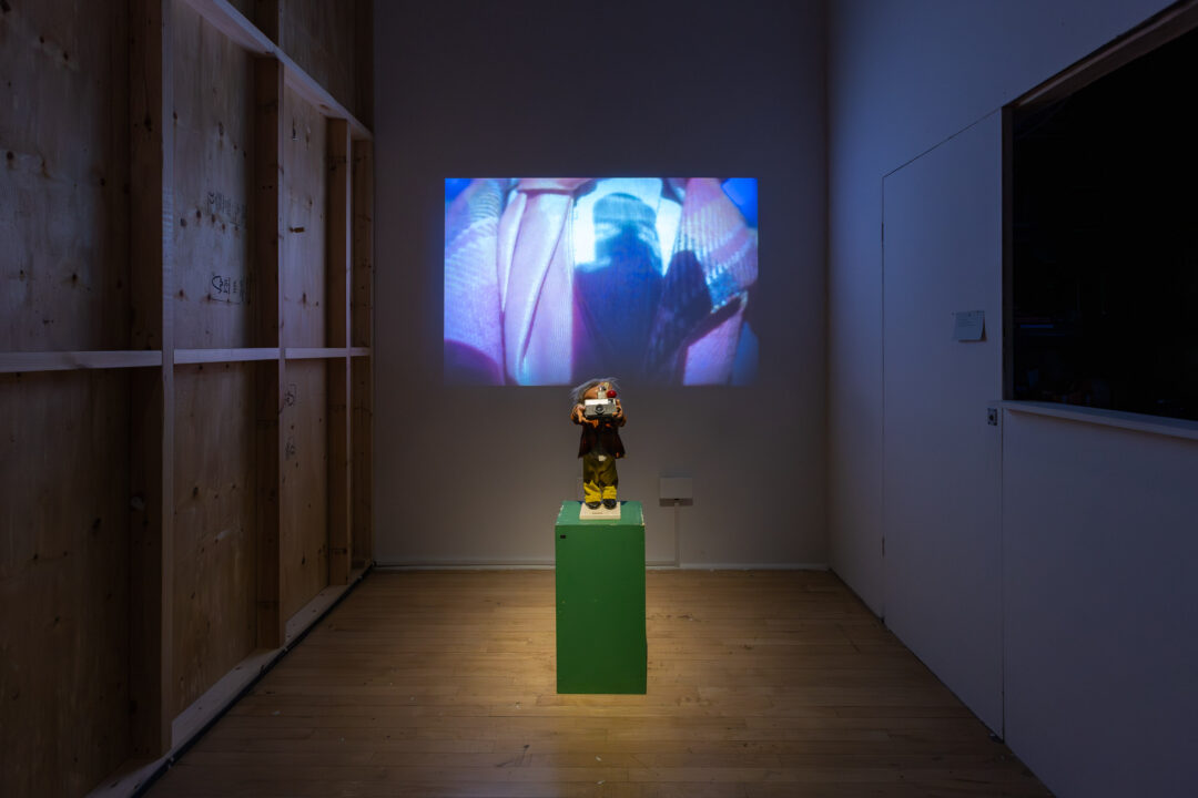 William English, Narcissistic Clown (2006)