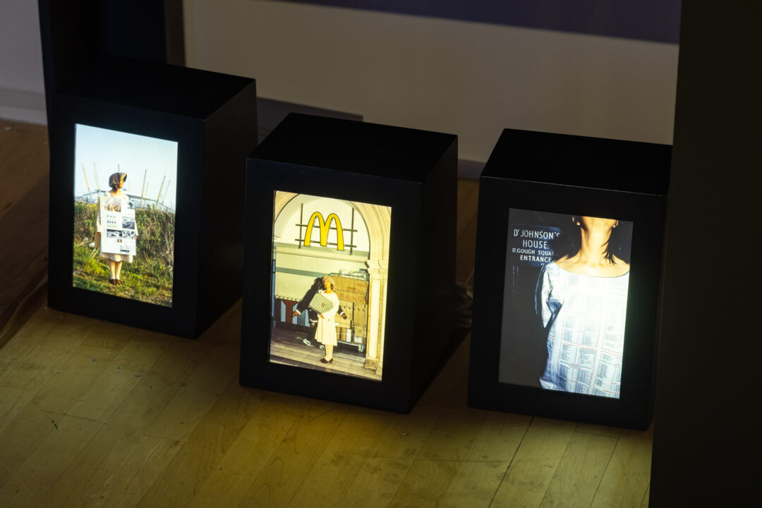 Sandra Cross, The Physiology of Taste (1998)