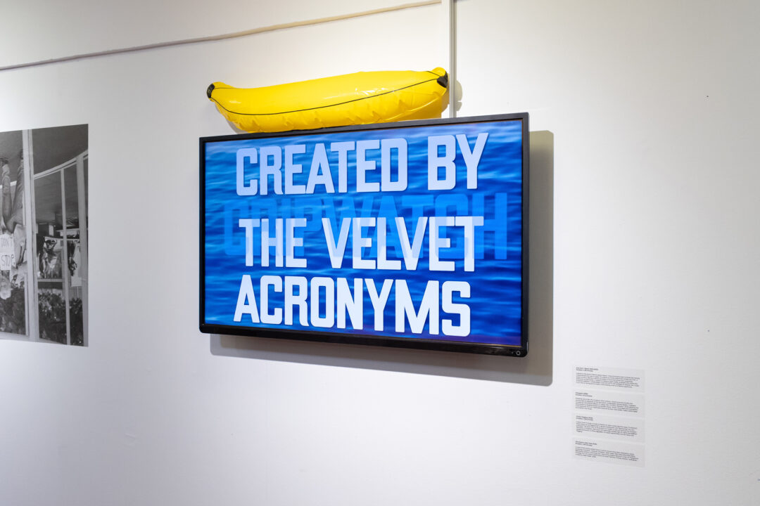 The Velvet Acronyms: It’s a Wonderful Protest